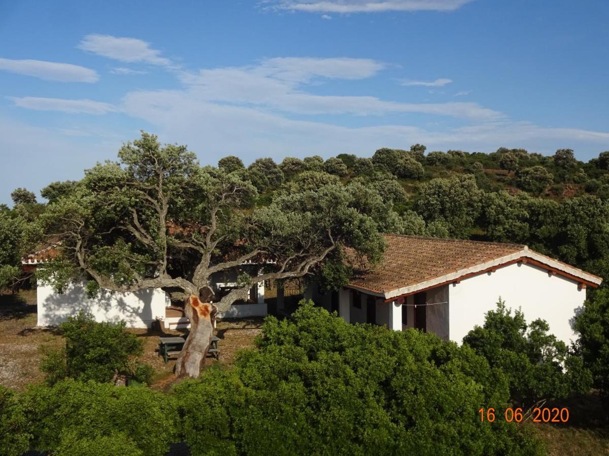 Conca' E Janas Vakantieboerderij Dorgali