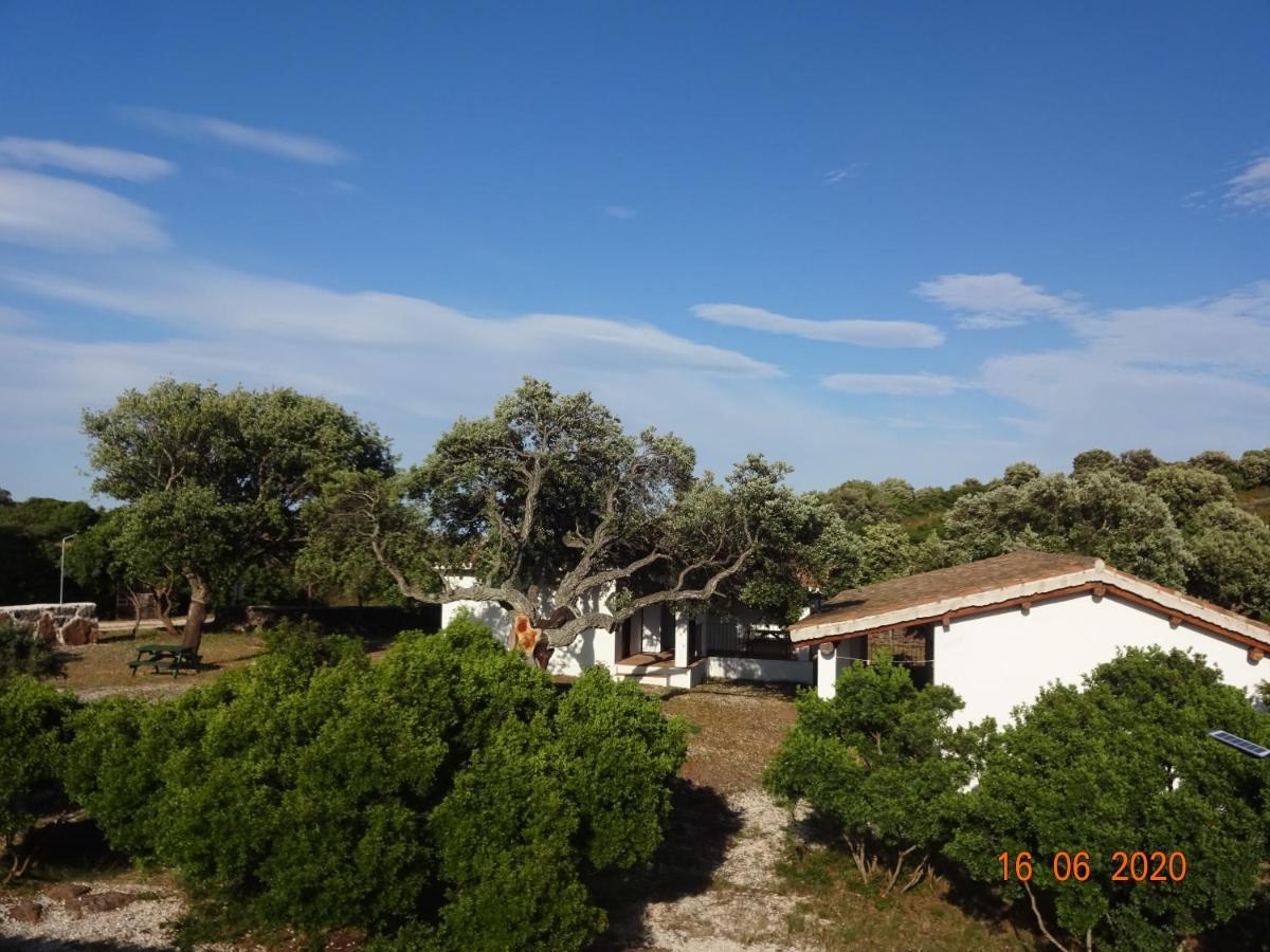 Conca' E Janas * Dorgali