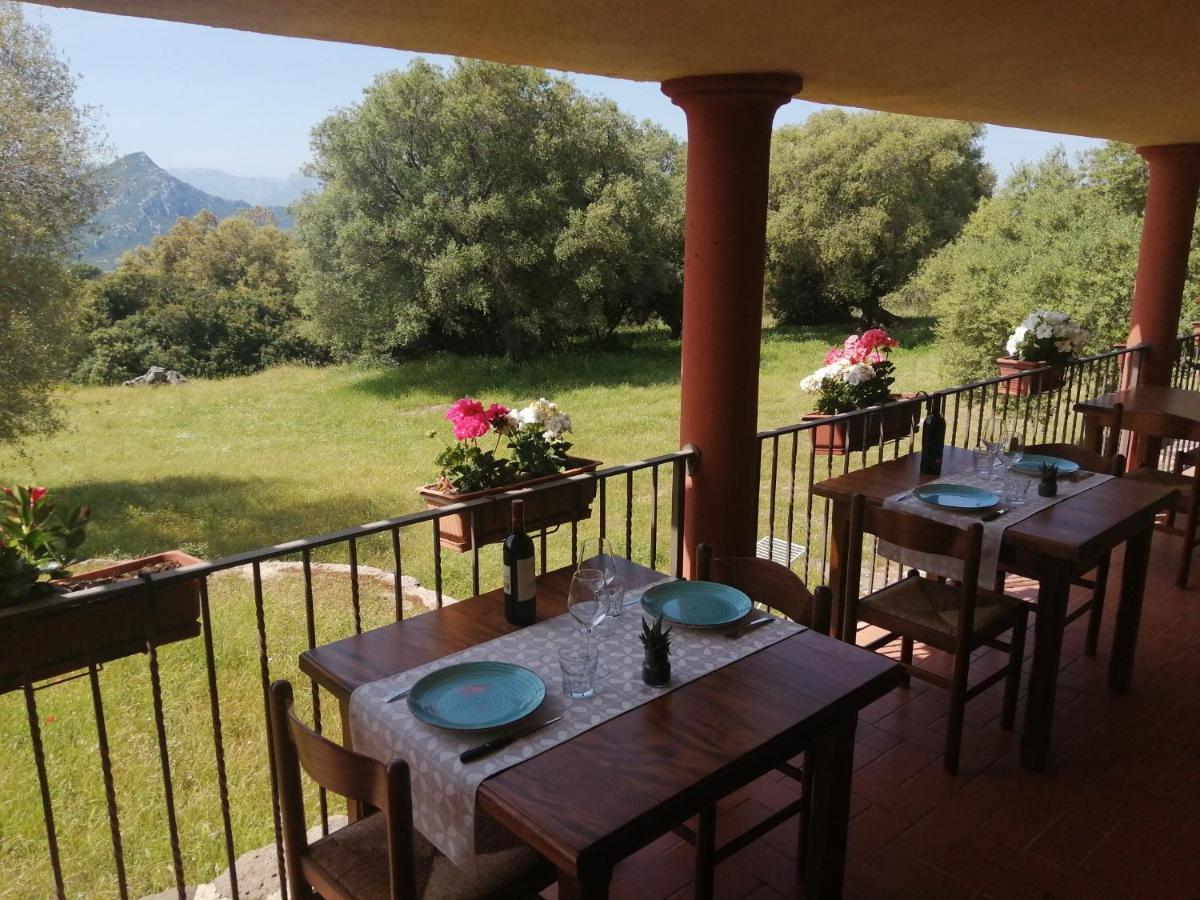 Conca' E Janas Vakantieboerderij *