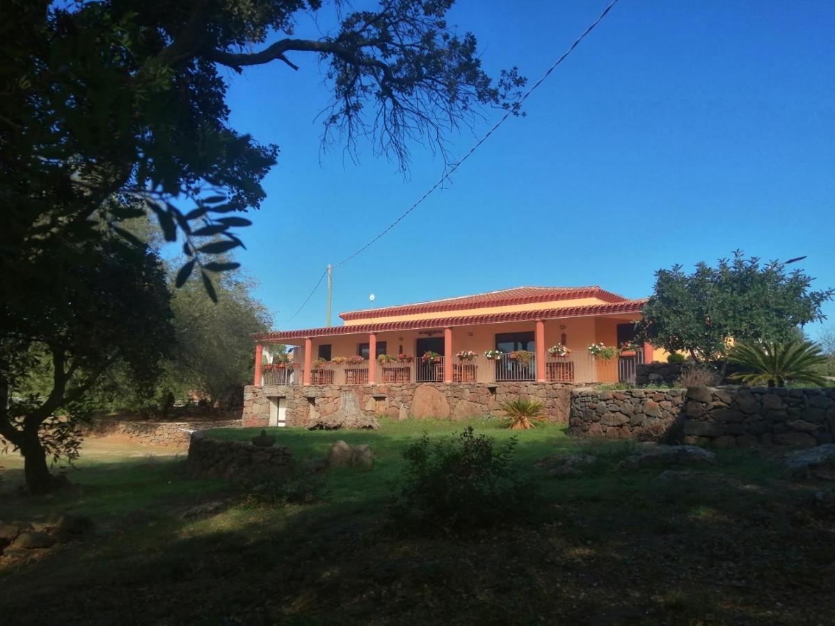 Vakantieboerderij Conca' E Janas *
